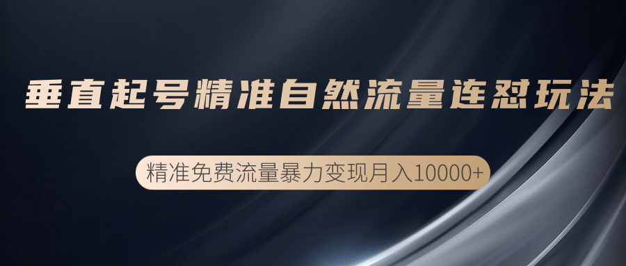 垂直起号精准自然流量连爆玩法，精准引流暴力变现月入10000+-知一资源网