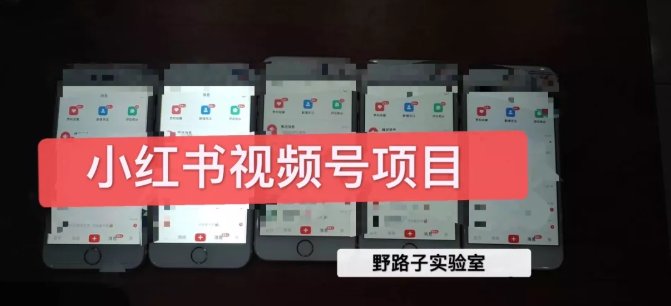 野路子小红书视频号1.0项目，直接上手操作就能赚钱的视频号项目-知一资源网