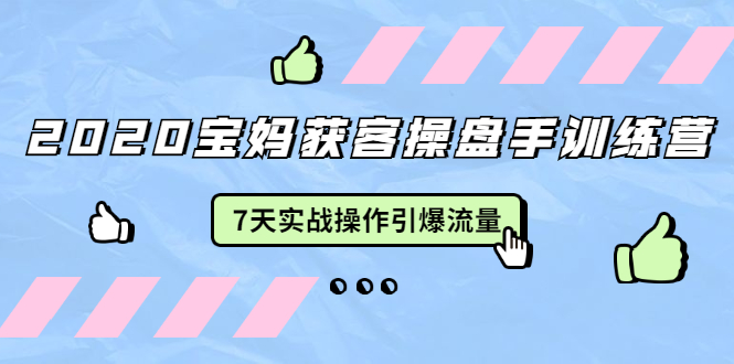 2020宝妈获客操盘手训练营:7天实战操作引爆 母婴、都市、购物宝妈流量-知一资源网