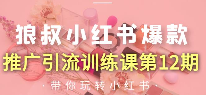 狼叔小红书爆款推广引流训练课第12期,手把手带你玩转小红书-知一资源网