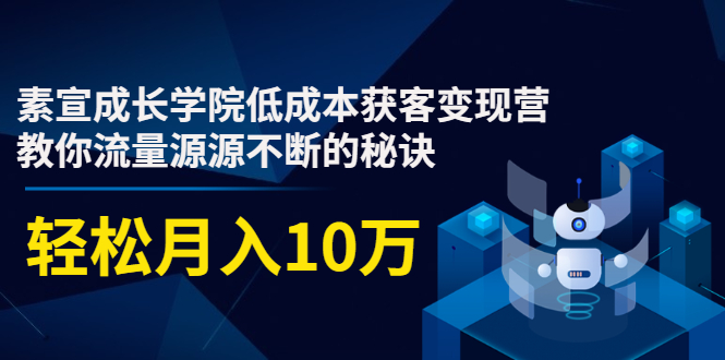素宣成长学院低成本获客变现营,教你流量源源不断的秘诀,轻松月入10万-知一资源网