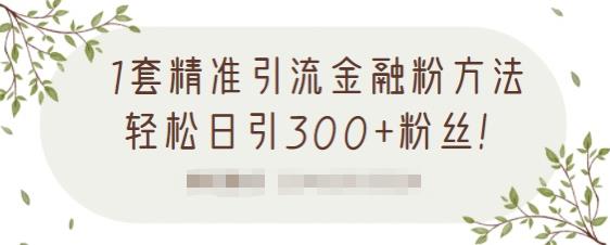 1套精准引流金融粉方法,轻松日引300+粉丝-知一资源网