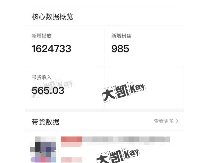 大凯进阶圈新玩法之拼多多视频玩法,利润大概一个号一天能有500~1500的左右!-知一资源网