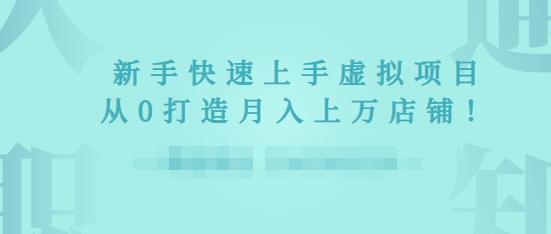 2022年虚拟项目实战指南，新手从0打造月入上万店铺-知一资源网