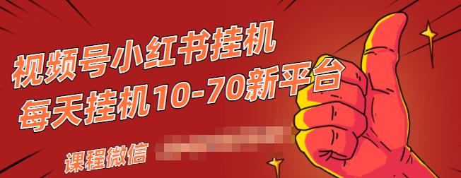 视频号小红书抖音挂机项目,小白无脑操作,按照要求来,单号每天几十米-知一资源网