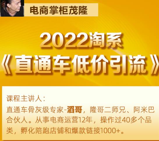 茂隆2022直通车低价引流玩法,教大家如何低投入高回报的直通车玩法-知一资源网