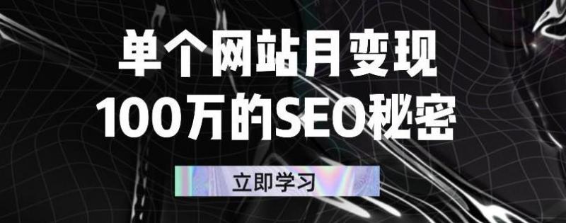 单个网站月变现100万的SEO秘密,百分百做出赚钱站点-知一资源网