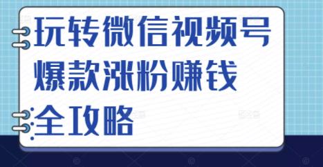 玩转微信视频号爆款涨粉赚钱全攻略，让你快速抓住流量风口，收获红利财富-知一资源网