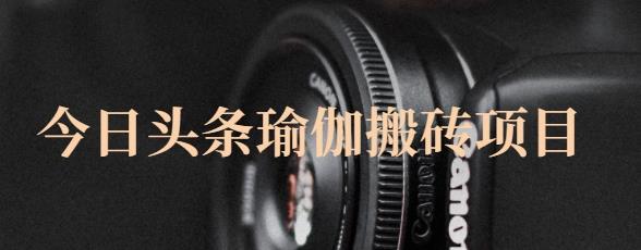 猎人社区·今日头条瑜伽搬砖项目,单号一天几十收入,可以批量操作!-知一资源网