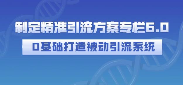 制定精准引流方案专栏6.0，0基础打造被动引流系统-知一资源网