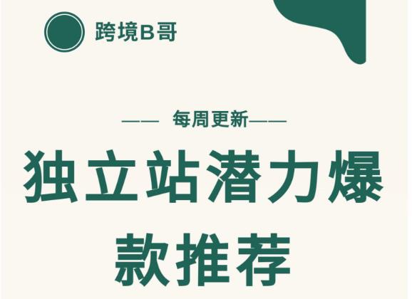 【跨境B哥】独立站潜力爆款选品推荐，测款出单率高达百分之80-知一资源网