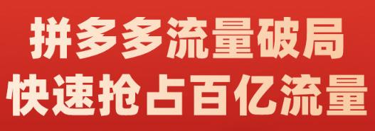 阿杰·拼多多流量破局:如何打黑标,爆款的思路,拼多多流量框架,快速抢占百亿流量-知一资源网