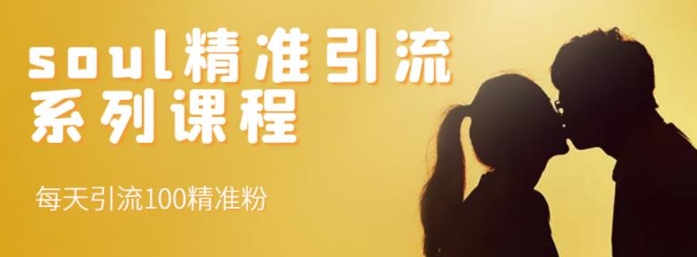 soul精准引流系列课程,每天引流100精准粉-知一资源网