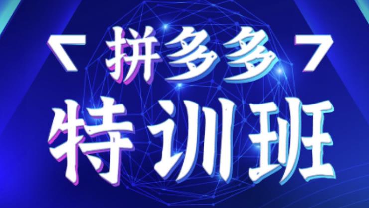星雪教育·拼多多基础班+进阶班+突破班,用系统的学习模式快速改变现状价值3580元-知一资源网