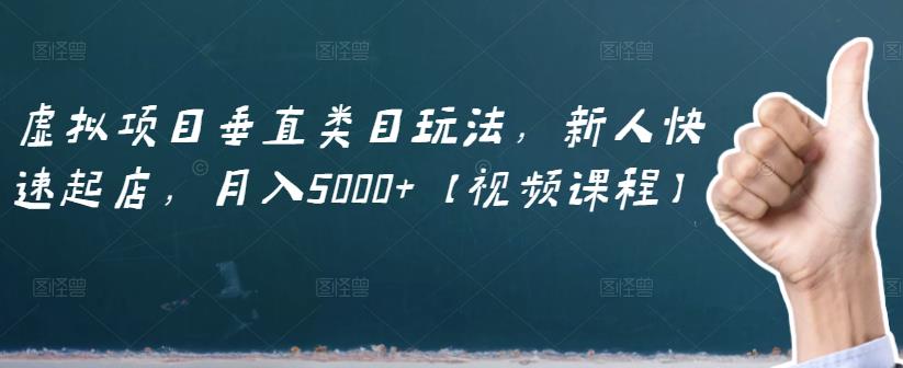 虚拟项目垂直类目玩法,新人快速起店,月入5000+【视频课程】-知一资源网
