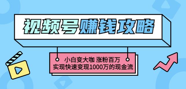 玩转微信视频号赚钱:小白变大咖涨粉百万实现快速变现1000万的现金流-知一资源网