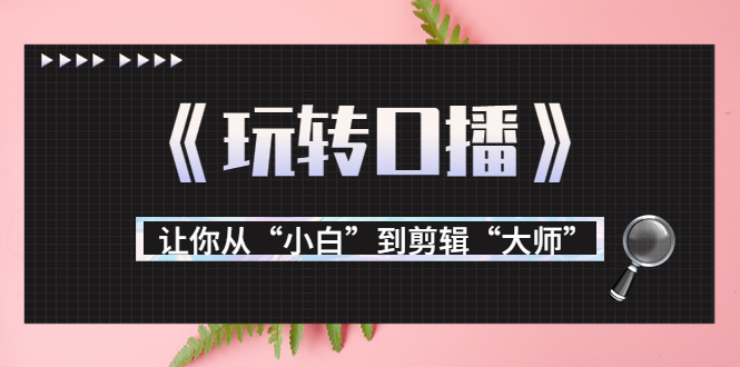 月营业额700万+大佬教您《玩转口播》让你从“小白”到剪辑“大师”-知一资源网