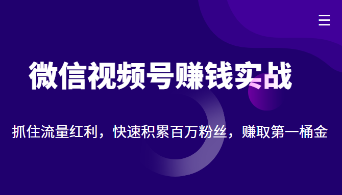 微信视频号赚钱实战:抓住流量红利,快速积累百万粉丝,赚取你的第一桶金-知一资源网