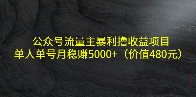 公众号流量主暴利撸收益项目,单人单号月稳赚5000+(价值480元)-知一资源网