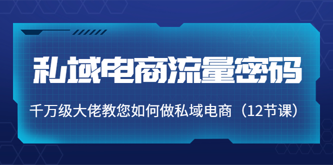 私域电商流量密码:千万级大佬教您如何做私域电商(12节课)-知一资源网