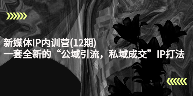 新媒体IP内训营(12期),一套全新的“公域引流,私域成交”IP打法,直接带走-知一资源网