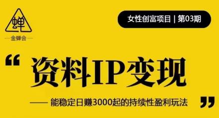 资料IP变现，能稳定日赚3000起的持续性盈利玩法-知一资源网