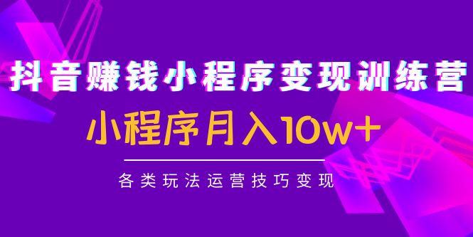 抖音赚钱小程序变现训练营:小程序月入10w+各类玩法运营技巧变现-知一资源网