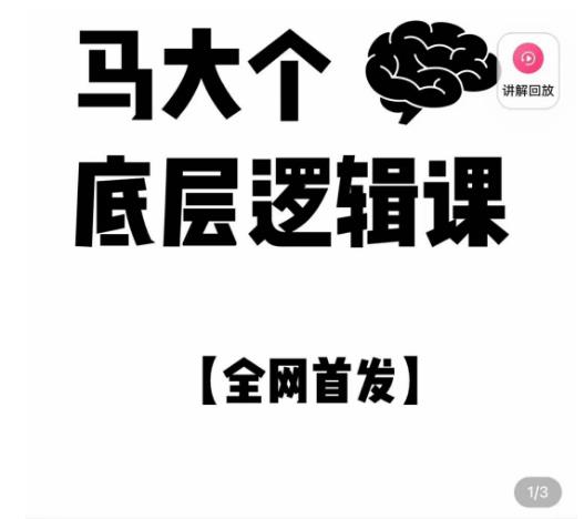 马大个·底层逻辑课,51节底层逻辑智慧课-价值1980元-知一资源网