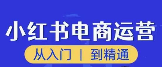 顽石小红书电商高阶运营课程,从入门到精通,玩法流程持续更新-知一资源网