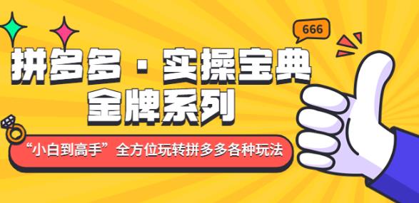 拼多多·实操宝典:金牌系列“小白到高手”带你全方位玩转拼多多各种玩法-知一资源网