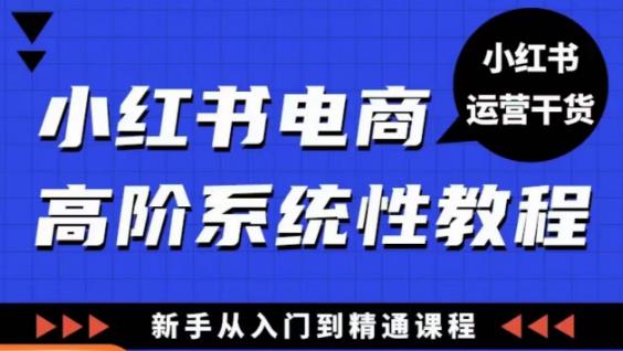小红书电商高阶系统教程,新手从入门到精通系统课-知一资源网