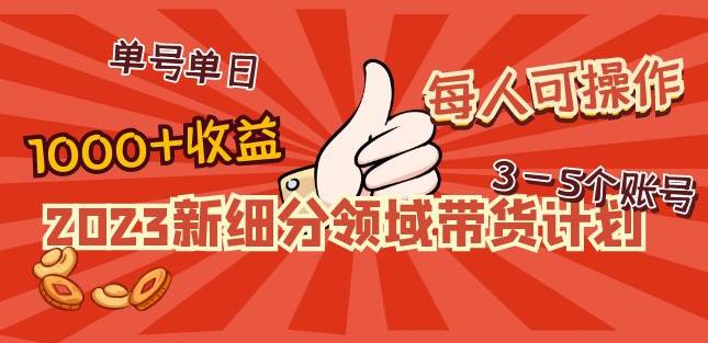 2023新细分领域带货计划:单号单日1000+收益不难,每人可操作3-5个账号-知一资源网
