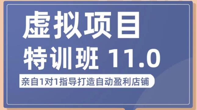 陆明明·虚拟项目特训班(10.0+11.0),0成本获取虚拟素材,0基础打造自动盈利店铺-知一资源网