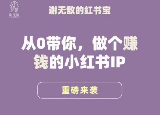 谢无敌·小红书运营大宝典,从0带你做个赚钱的小红书IP-知一资源网