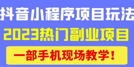 抖音小程序9.0新技巧,2023热门副业项目,动动手指轻松变现-知一资源网