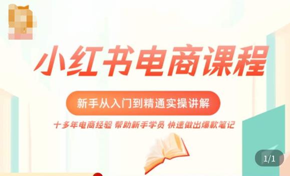 小红书电商新手入门到精通实操课，从入门到精通做爆款笔记，开店运营-知一资源网