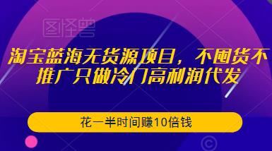 淘宝蓝海无货源项目,不囤货不推广只做冷门高利润代发,花一半时间赚10倍钱-知一资源网