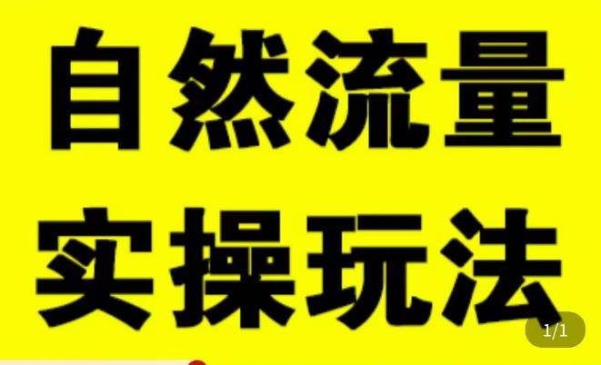 拼多多自然流量天花板,拼多多自然流的实操玩法,自然流量是怎么来的,如何开车带来自然流等知识-知一资源网