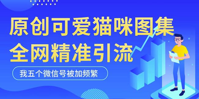 黑科技纯原创可爱猫咪图片，全网精准引流，实操5个VX号被加频繁-知一资源网