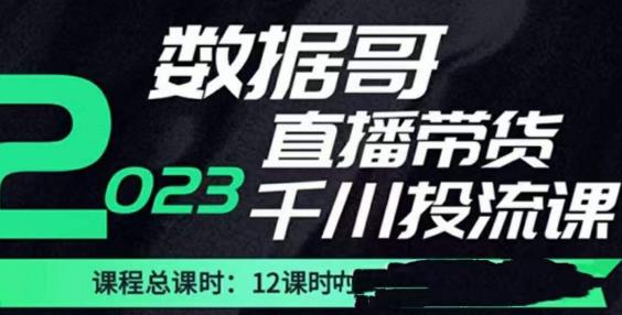 数据哥2023直播电商巨量千川付费投流实操课,快速掌握直播带货运营投放策略-知一资源网