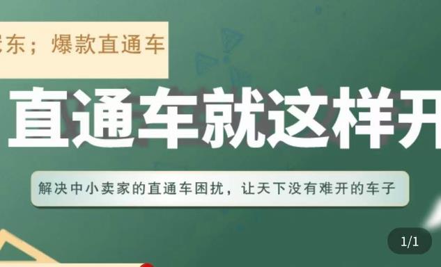 冠东·淘系直通车保姆级教程，全面讲解直通车就那么简单-知一资源网