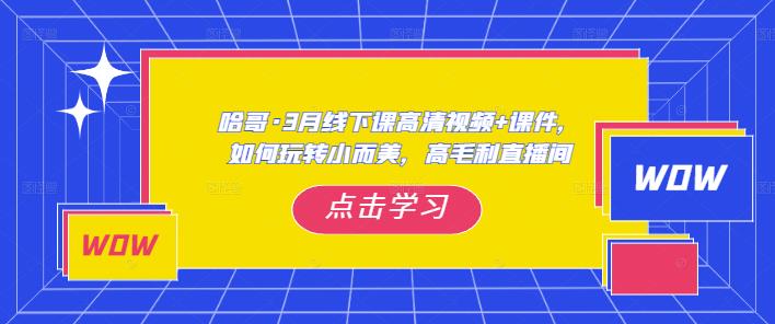 哈哥·3月线下实操课高清视频+课件,如何玩转小而美,高毛利直播间-知一资源网