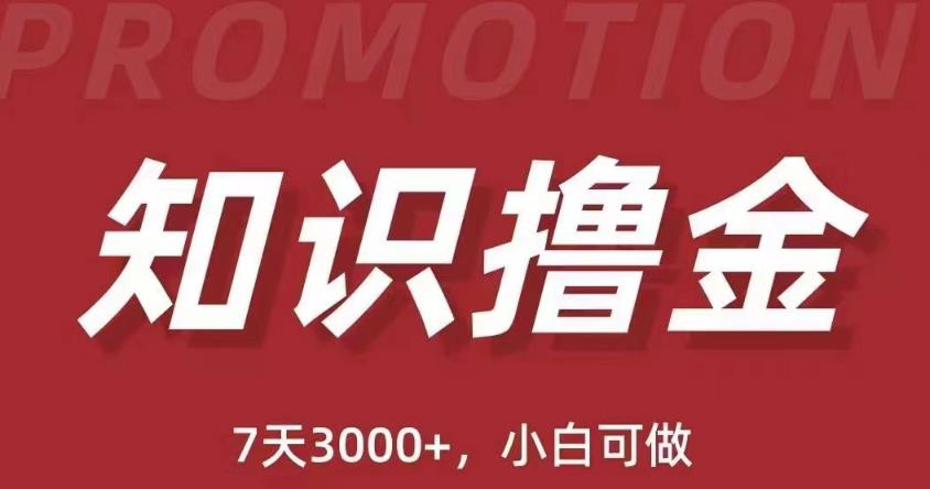 抖音知识撸金项目：简单粗暴日入1000+执行力强当天见收益(教程+资料)-知一资源网