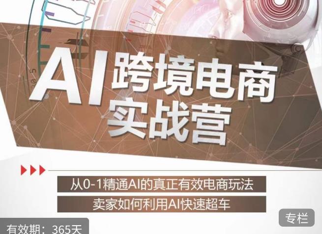 白龙老师·AI跨境电商实战营:从0-1精通Al的真正有效电商玩法,卖家如何利用Al快速超车-知一资源网