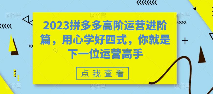 2023拼多多高阶运营进阶篇，用心学好四式，你就是下一位运营高手-知一资源网