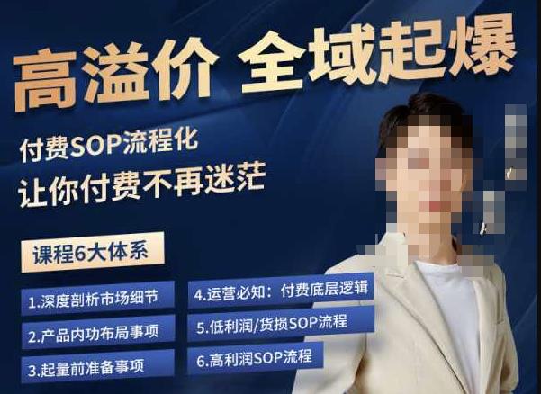 逸风-拼多多高溢价全域起爆,6大课程体系,付费玩法全套实操-知一资源网