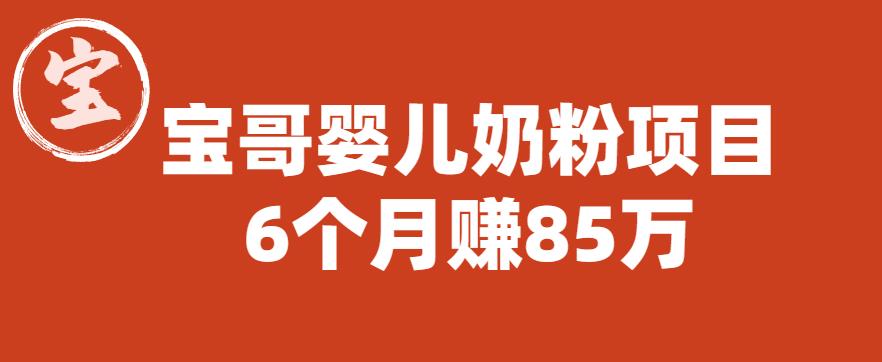 宝哥婴儿奶粉项目,6个月赚85w【图文非视频】【揭秘】-知一资源网