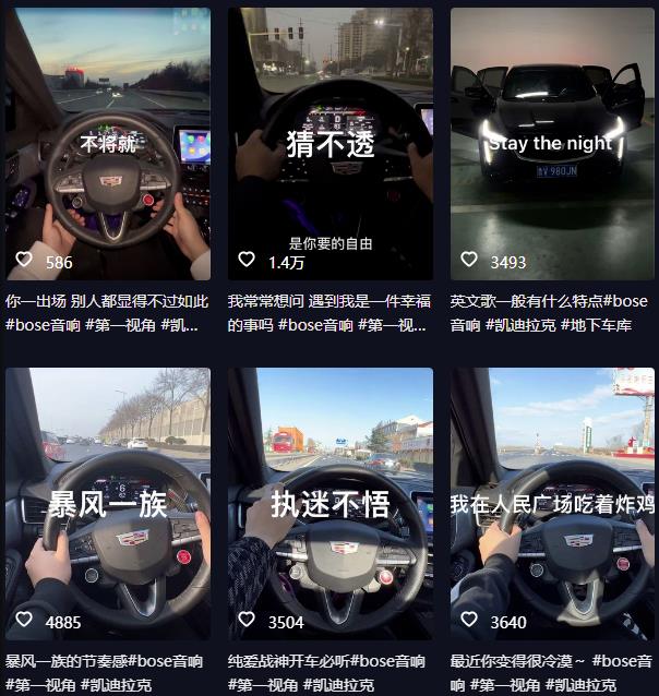 抖音开车视频项目,0基础操作,每天五分钟,月入1W+【揭秘】-知一资源网