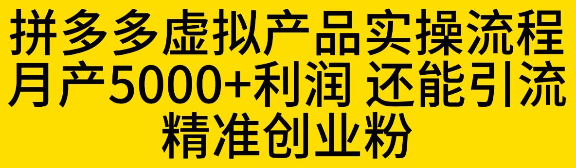 拼多多虚拟产品实操流程，月产5000+利润，还能引流精准创业粉【揭秘】-知一资源网