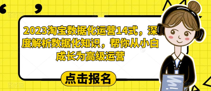 2023淘宝数据化运营14式，深度解析数据化知识，帮你从小白成长为高级运营-知一资源网
